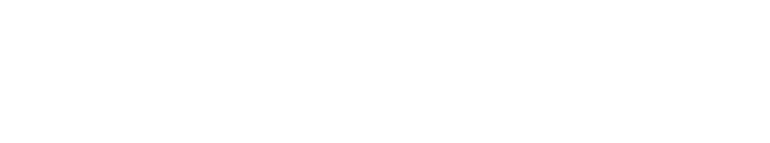 voxlis.NET